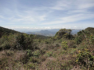 Pidurutalagala Mountain peak and vicinity
